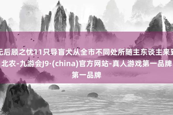 无后顾之忧11只导盲犬从全市不同处所随主东谈主来到北农-九游会J9·(china)官方网站-真人游戏第一品牌