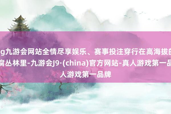 ag九游会网站全情尽享娱乐、赛事投注穿行在高海拔的迂腐丛林里-九游会J9·(china)官方网站-真人游戏第一品牌