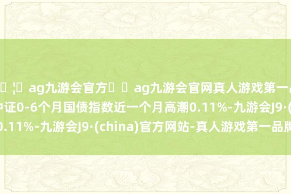 🦄ag九游会官方⚽ag九游会官网真人游戏第一品牌实力正规平台中证0-6个月国债指数近一个月高潮0.11%-九游会J9·(china)官方网站-真人游戏第一品牌