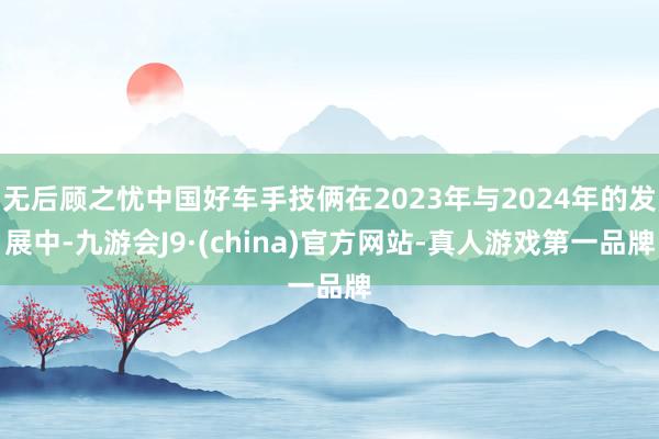 无后顾之忧中国好车手技俩在2023年与2024年的发展中-九游会J9·(china)官方网站-真人游戏第一品牌