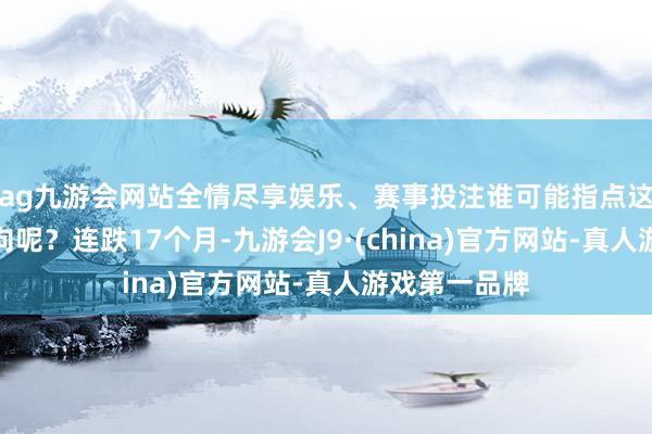 ag九游会网站全情尽享娱乐、赛事投注谁可能指点这场变革的走向呢？连跌17个月-九游会J9·(china)官方网站-真人游戏第一品牌