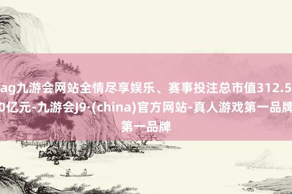 ag九游会网站全情尽享娱乐、赛事投注总市值312.50亿元-九游会J9·(china)官方网站-真人游戏第一品牌