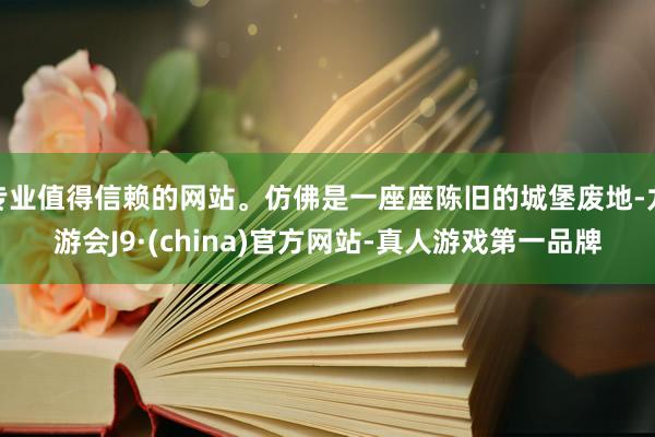 专业值得信赖的网站。仿佛是一座座陈旧的城堡废地-九游会J9·(china)官方网站-真人游戏第一品牌