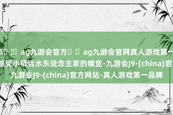 🦄ag九游会官方⚽ag九游会官网真人游戏第一品牌实力正规平台感受小桥活水东说念主家的嗅觉-九游会J9·(china)官方网站-真人游戏第一品牌