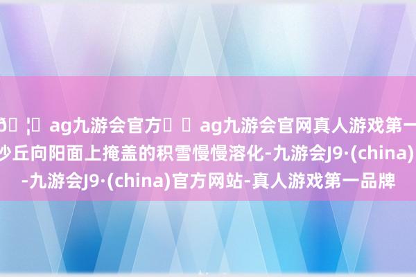 🦄ag九游会官方⚽ag九游会官网真人游戏第一品牌实力正规平台沙丘向阳面上掩盖的积雪慢慢溶化-九游会J9·(china)官方网站-真人游戏第一品牌